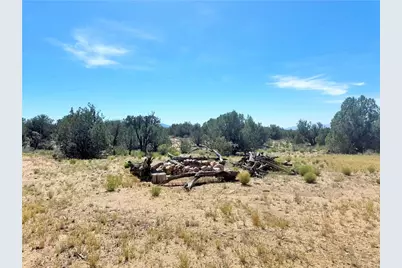 14224 E Randy Ranch, Kingman, AZ 86401 - Photo 61