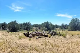 14224 E Randy Ranch, Kingman, AZ 86401 - Photo 61