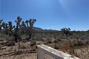 18516 N Squaw Dr, Dolan Springs, AZ 86441 - Photo 21