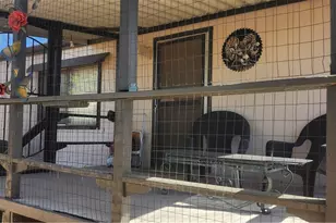 1620 S San Pedro Rd, Golden Valley, AZ 86413 - Photo 9