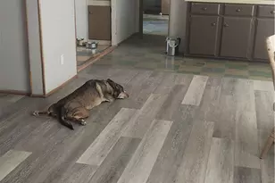 1620 S San Pedro Rd, Golden Valley, AZ 86413 - Photo 27