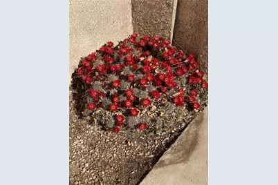 4029 Roma Road, Kingman, AZ 86401 - Photo 41