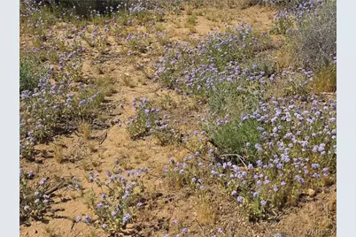 4182 N Canelo Road, Golden Valley, AZ 86413 - Photo 13