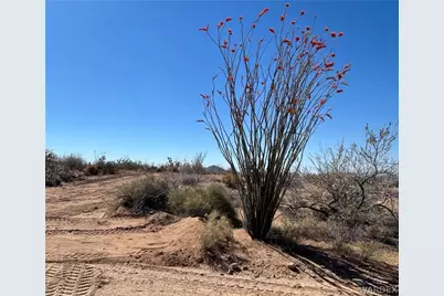 333 S S Whispering Winds Rd, Yucca, AZ 86438 - Photo 3