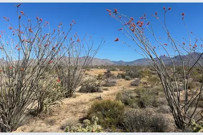 258 Apache Drive, Yucca, AZ 86438 - Photo 5