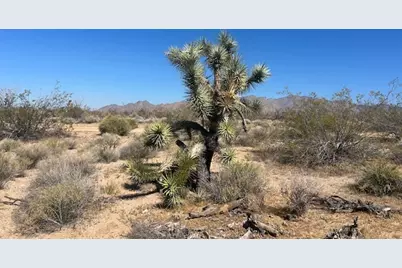 259 Apache, Yucca, AZ 86438 - Photo 15