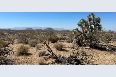 259 Apache, Yucca, AZ 86438 - Photo 11