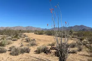 259 Apache, Yucca, AZ 86438 - Photo 1