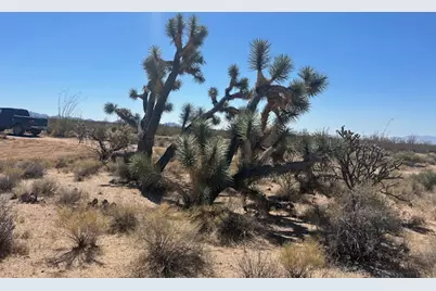 281 S Arapaho, Yucca, AZ 86438 - Photo 11