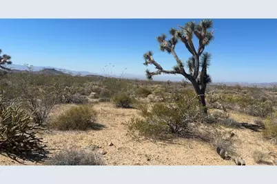 281 S Arapaho, Yucca, AZ 86438 - Photo 7