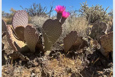 281 S Arapaho, Yucca, AZ 86438 - Photo 1