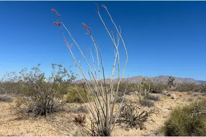 281 S Arapaho, Yucca, AZ 86438 - Photo 5