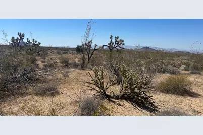 281 S Arapaho, Yucca, AZ 86438 - Photo 9