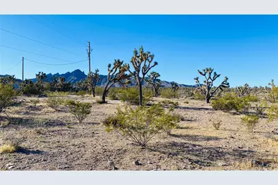 Lot 167 Mt Loco Drive, Dolan Springs, AZ 86441 - Photo 5