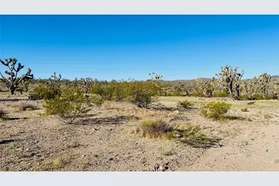 Lot 167 Mt Loco Drive, Dolan Springs, AZ 86441 - Photo 13