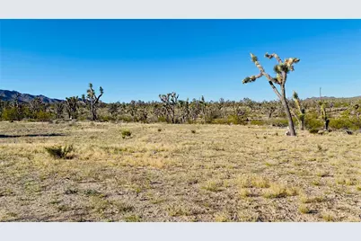Lot 167 Mt Loco Drive, Dolan Springs, AZ 86441 - Photo 9