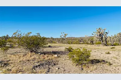 Lot 167 Mt Loco Drive, Dolan Springs, AZ 86441 - Photo 11