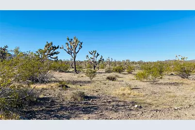 Lot 167 Mt Loco Drive, Dolan Springs, AZ 86441 - Photo 15