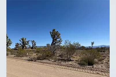 Lot 26 Niles Drive, Dolan Springs, AZ 86441 - Photo 11