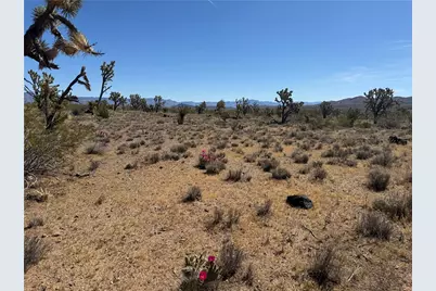 Lot 26 Niles Drive, Dolan Springs, AZ 86441 - Photo 15