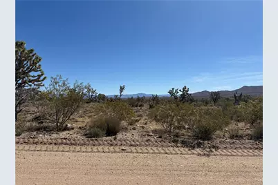 Lot 26 Niles Drive, Dolan Springs, AZ 86441 - Photo 9