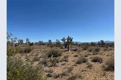 Lot 26 Niles Drive, Dolan Springs, AZ 86441 - Photo 13