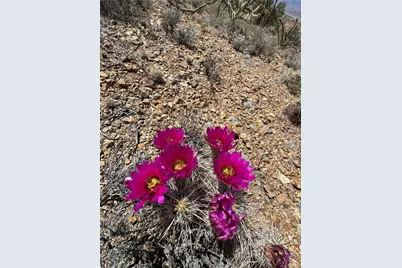 0 N Cresant Spring Road, Kingman, AZ 86401 - Photo 9