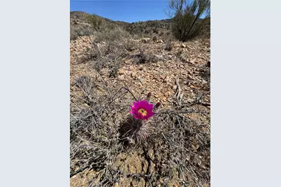 0 N Cresant Spring Road, Kingman, AZ 86401 - Photo 5