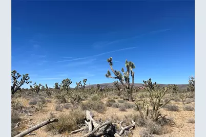 327-02-199 Stallion Drive, Dolan Springs, AZ 86441 - Photo 7