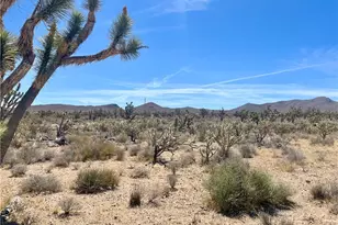 327-02-199 Stallion Dr, Dolan Springs, AZ 86441 - Photo 1