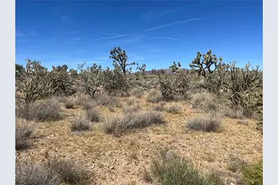 Lot 7 Stallion Drive, Dolan Springs, AZ 86441 - Photo 19