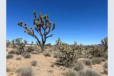 Lot 7 Stallion Drive, Dolan Springs, AZ 86441 - Photo 13