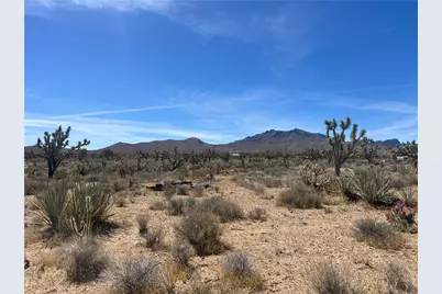 327-02-199 Stallion Drive, Dolan Springs, AZ 86441 - Photo 3