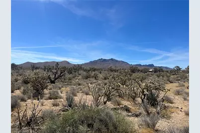 Lot 7 Stallion Drive, Dolan Springs, AZ 86441 - Photo 7