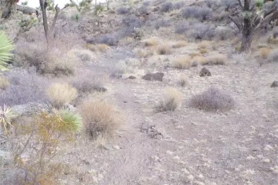 Lot 72 W 20th Street, Dolan Springs, AZ 86441 - Photo 29