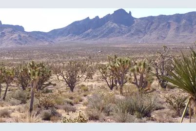 18048 N Lost Mine Drive, Dolan Springs, AZ 86441 - Photo 17
