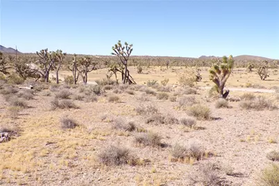 18048 N Lost Mine Drive, Dolan Springs, AZ 86441 - Photo 15