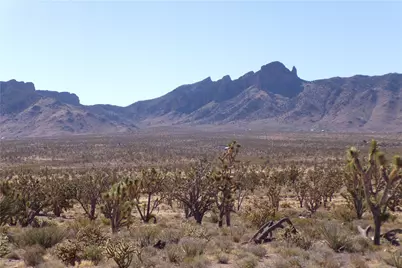 18048 N Lost Mine Drive, Dolan Springs, AZ 86441 - Photo 9