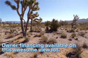 18048 N Lost Mine Dr, Dolan Springs, AZ 86441 - Photo 1