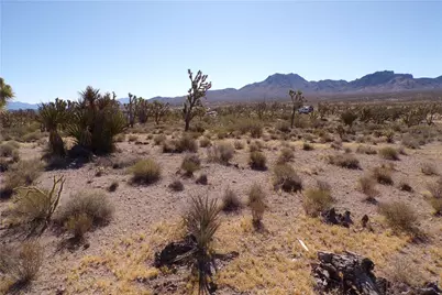 18048 N Lost Mine Drive, Dolan Springs, AZ 86441 - Photo 7