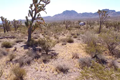 18048 N Lost Mine Drive, Dolan Springs, AZ 86441 - Photo 13
