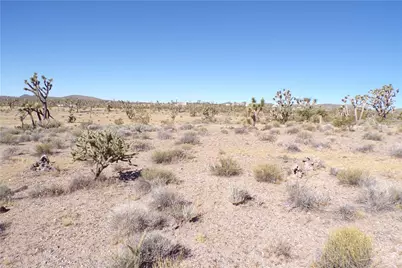 18048 N Lost Mine Drive, Dolan Springs, AZ 86441 - Photo 19