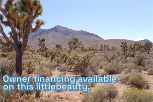 18209 N Scenic Dr, Dolan Springs, AZ 86441 - Photo 1