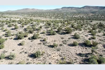 354-42-045 N Quail Nest Road, Kingman, AZ 86409 - Photo 5