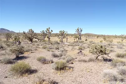 8933 Accra Drive, Chloride, AZ 86431 - Photo 19