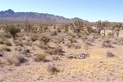 8933 Accra Drive, Chloride, AZ 86431 - Photo 13