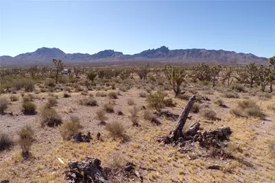 8933 Accra Drive, Chloride, AZ 86431 - Photo 9