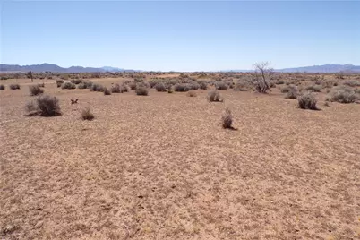 8933 Accra Drive, Chloride, AZ 86431 - Photo 17