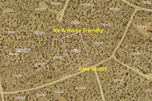 Lot 196 E Bush Rd, Yucca, AZ 86438 - Photo 1