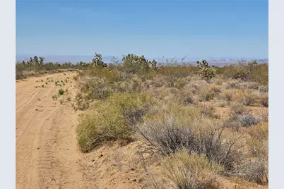 Lot 196 E Bush Road, Yucca, AZ 86438 - Photo 5